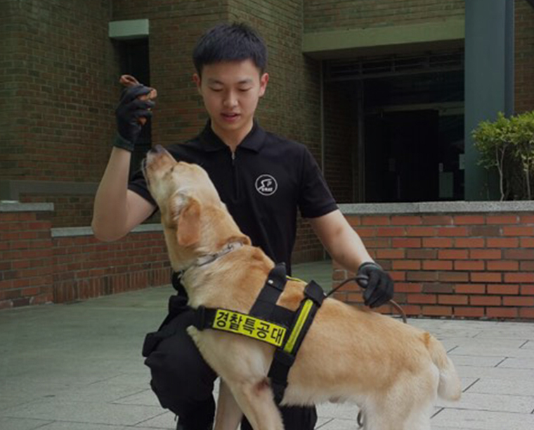(2022학년도 수시 특집) 우송정보대학 K-마이스터스쿨, 대한민국 명장이 가르치고 취업까지 책임