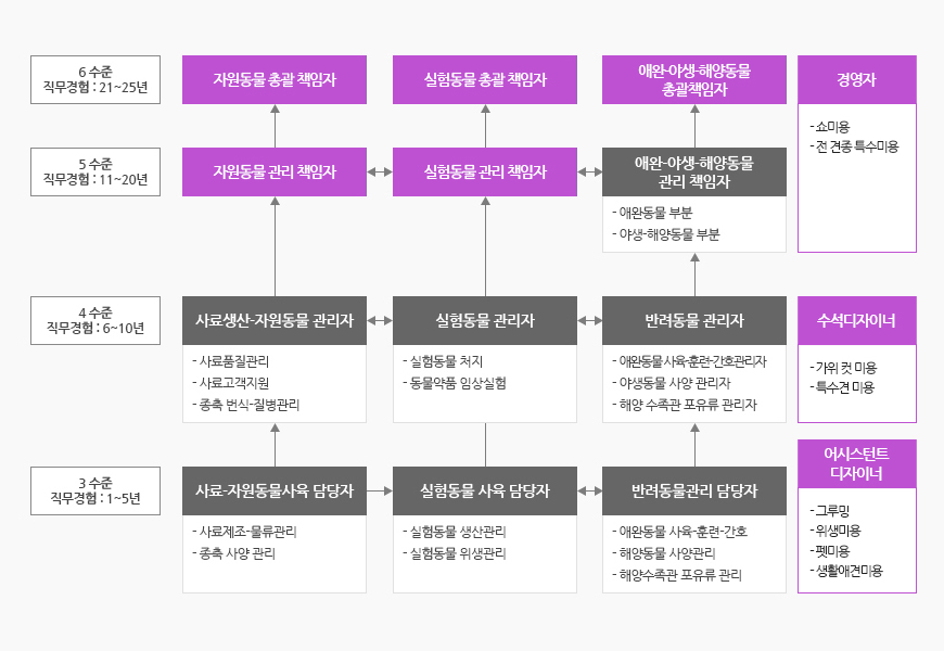 3수준 직무경험 : 1~5년 - 사료/자원동물사육 담당자 (사료제조-물류관리, 종축 사양 관리), 실험동물 사육 담당자 (실험동물 생산관리, 실험동물 위생관리), 반려동물관리 담당자 (애완동물 사육/훈련/간호, 해양동물 사양관리, 해양수족관 포유류 관리), 어시스턴트 디자이너 (그루밍, 위생미용, 펫미용, 생활애견미용)
								4수준 직무경험 : 6~10년 - 사료/자원동물사육 담당자 (사료품질관리, 사료고객지원, 종축 번식- 질병관리), 실험동물 사육 담당자 (실험동물 처치, 동물약품 임상실험), 반려동물관리 담당자 (애완동물 사육/훈련/간호 관리자, 해양동물 사양관리자, 해양수족관 포유류 관리자), 수석디자이너 (가위 컷 미용, 특수견 미용)
								5수준 직무경험 : 11~20년 - 자원동물 관리 책임자, 실험동물 관리 책임자, 애완-야생-해양동물 관리책임자 (애완동물부분, 야생-해양동물 부분)
								6수준 직무경험 : 21~25년 - 자원동물 총괄 책임자, 실험동물 총괄 책임자, 애완-야생-해양동물 총괄 책임자, 경영자 (쇼미용, 전 견종 특수미용)