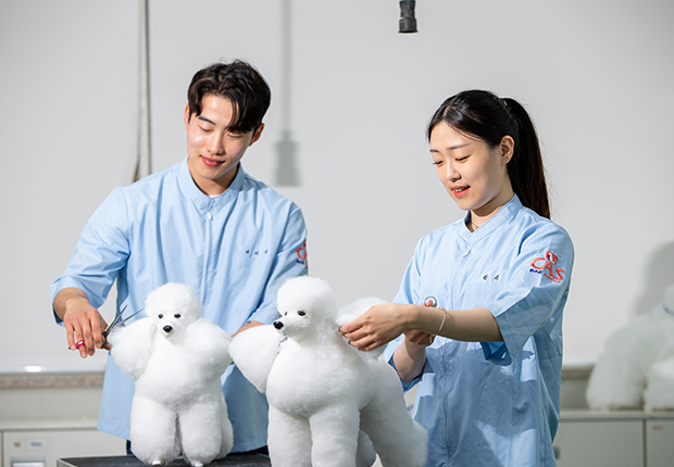 펫케어전공 사진4