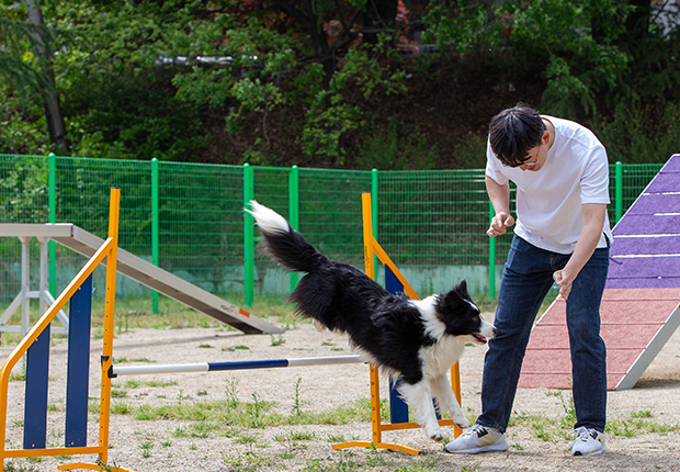 펫케어전공 사진5