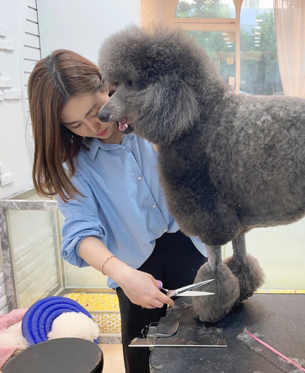펫케어전공 사진2