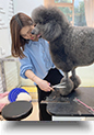 박보영 교수